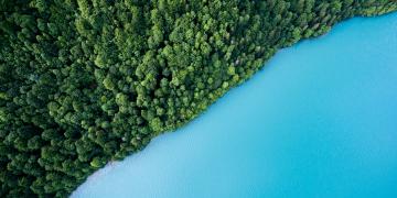 natural-capital-alliance