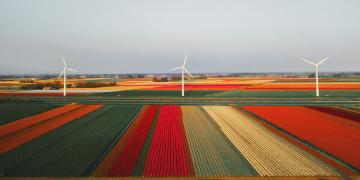 wind farms