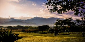 land-degradation-neutrality