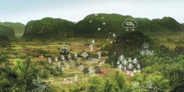 Althelia Climate Fund (ACF): impact report 2020
