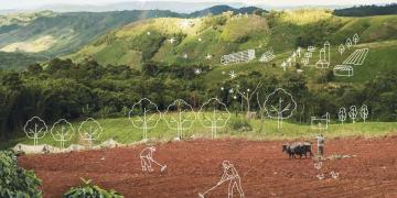 Land Degradation Neutrality Fund impact report 2020