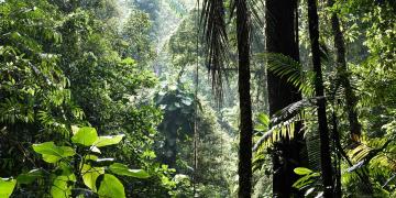 biodiversity-cop15