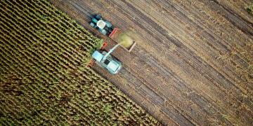 agriculture