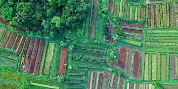 impact-private-equity-agro-tech