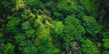 Request for Proposals - Nature+ Accelerator Fund (seed and early venture phases)
