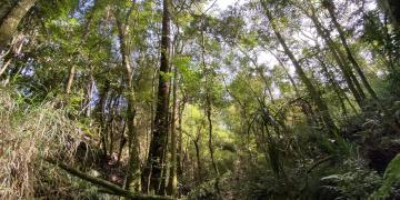 natural-capital-land-degradation-neutrality