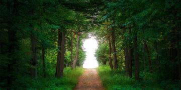 Taskforce on Nature-related Financial Disclosure
