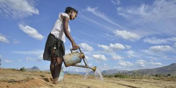 Mirova teams up with Aqre Group to develop agroforestry systems in partnership smallholder farmers in Madagascar