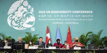 COP 15: a step forward in the battle to preserve biodiversity