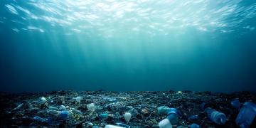 Mirova-plastic