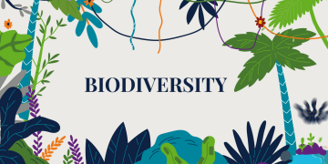 biodiversity series