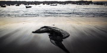Mirova invests in Bureo Inc. to support the expansion of their end-of-life fishing net recycling programme across Latin America