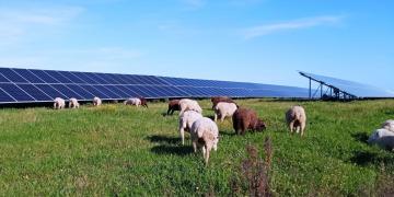 Hyperion Renewables closed a total investment of €140 million from Mirova