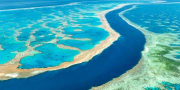 Le Fonds L’Oréal pour la régénération de la nature s’associe à la Fondation “Great Barrier Reef”