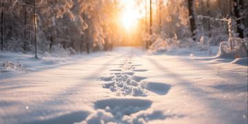 Mirovα, Creating Sustainable Value - December 2023
