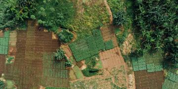 Mirova Sustainable Land Fund 2