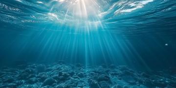 Mirova supports call from the private financial sector for better ocean-related data
