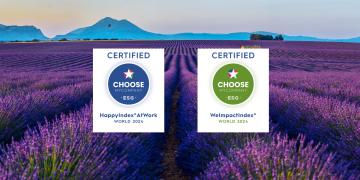 Choosemycompany