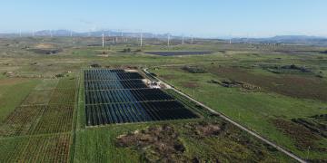 wind farm and solar pv in a field