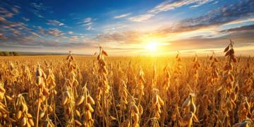 Mirovα, Creating Sustainable Value - June 2025