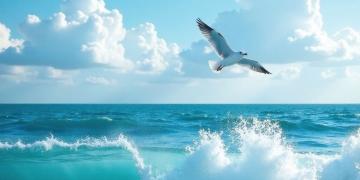image of seagulls flying over the ocean 