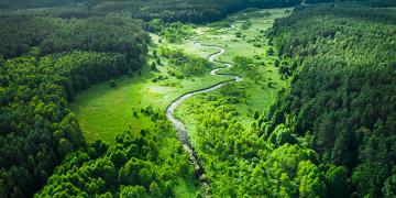 Curvy-river-and-marshland.-Aerial-view-of-wildlife