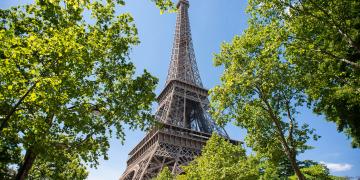eiffel-tower-surrounded-by-trees