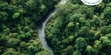 Voluntary Carbon Markets: Building Trust, Scaling Impact, and Shaping the Next Decade