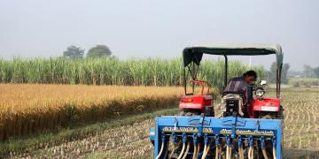 Mirova invests USD30 million in Varaha’s regenerative agriculture project in India – its largest carbon transaction to date