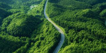 What we're learning from Blended Finance in sustainable land use