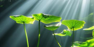 Mirovα, Creating Sustainable Value - May 2026