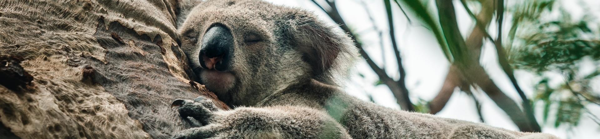 Axa Im Bnp Paribas Am Mirova And Sycomore Am Launch Joint Initiative To Develop Pioneering Tool For Measuring Investment Impact On Biodiversity Mirova Breite mindestens 1.080 pixel, seitenverhaeltnis bis zu 1,91:1. axa im bnp paribas am mirova and